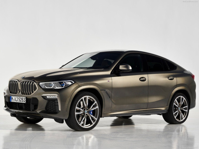 bmw x6 pic #197407