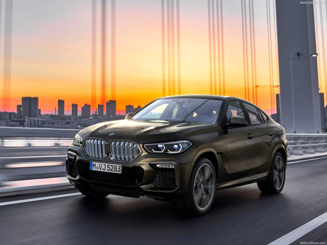 bmw x6 pic #197408