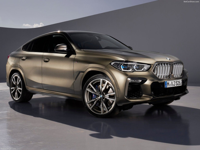 bmw x6 pic #197413