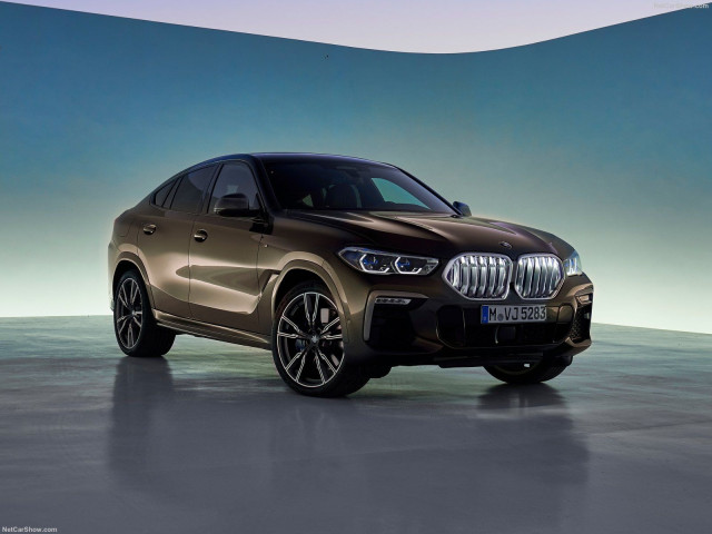 bmw x6 pic #197414