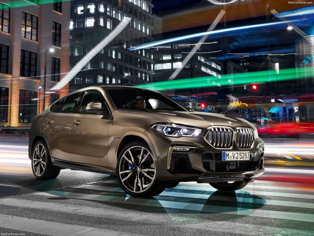 bmw x6 pic #197415