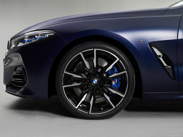 bmw 8-series gran coupe pic #201326