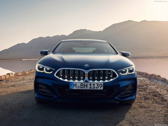 bmw 8-series gran coupe pic #201332