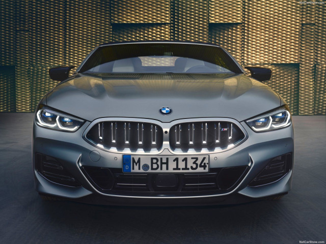 bmw 8-series pic #201383