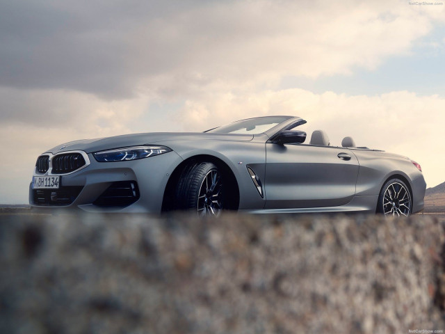 bmw 8-series pic #201388