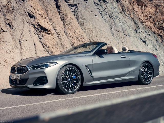 bmw 8-series pic #201389