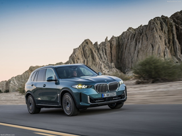 bmw x5 pic #203243