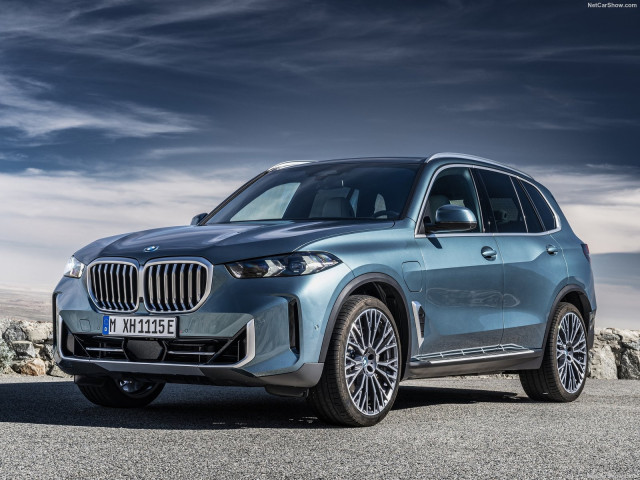 bmw x5 pic #203249