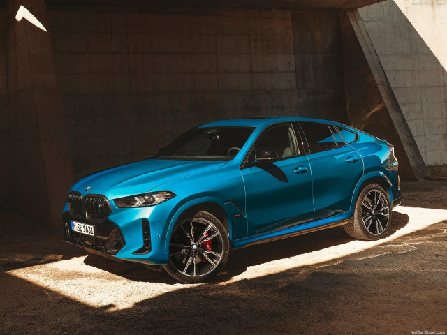 bmw x6 m pic #203260