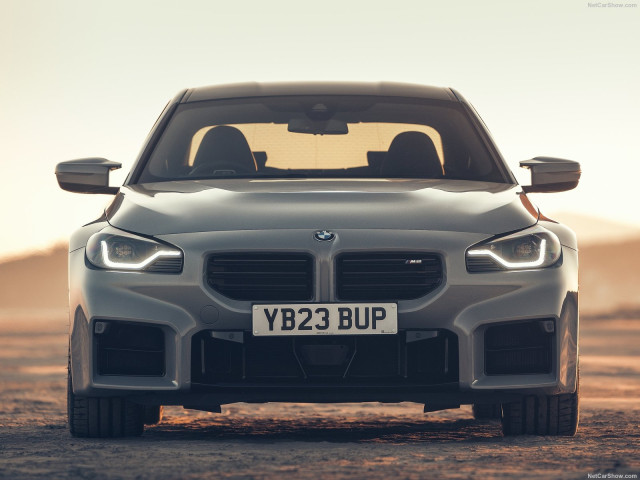 bmw m2 pic #203820