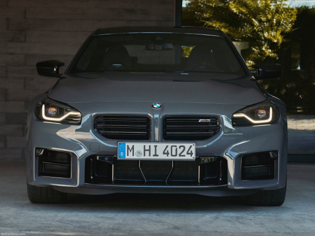 bmw m2 pic #205299