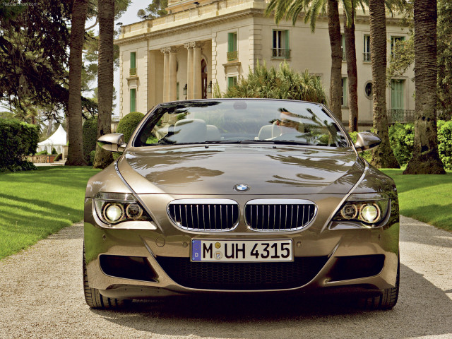 bmw m6 pic #36526