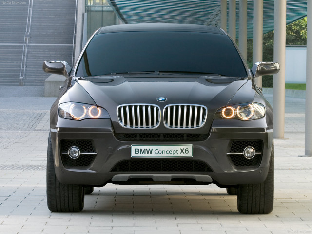 bmw x6 pic #47361