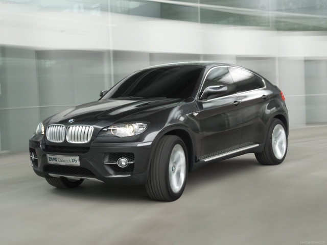 bmw x6 pic #47368