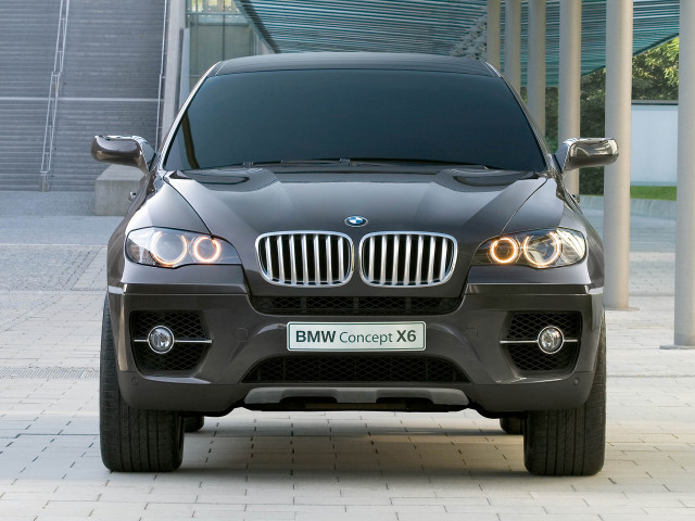 bmw x6 pic #49257