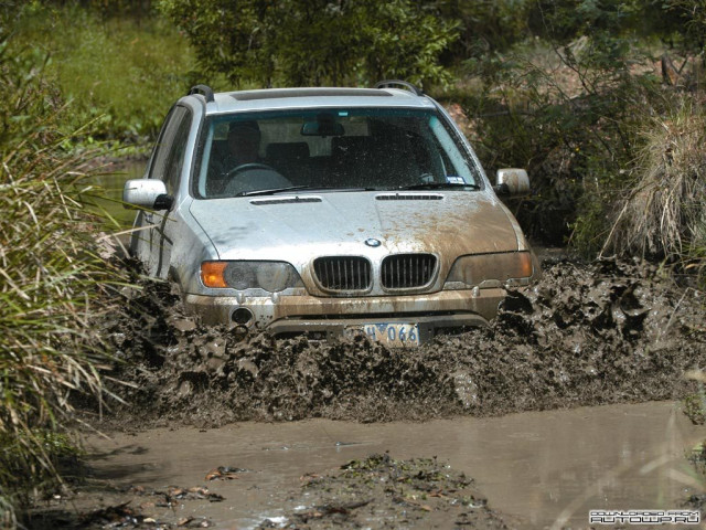 bmw x5 e53 pic #61820