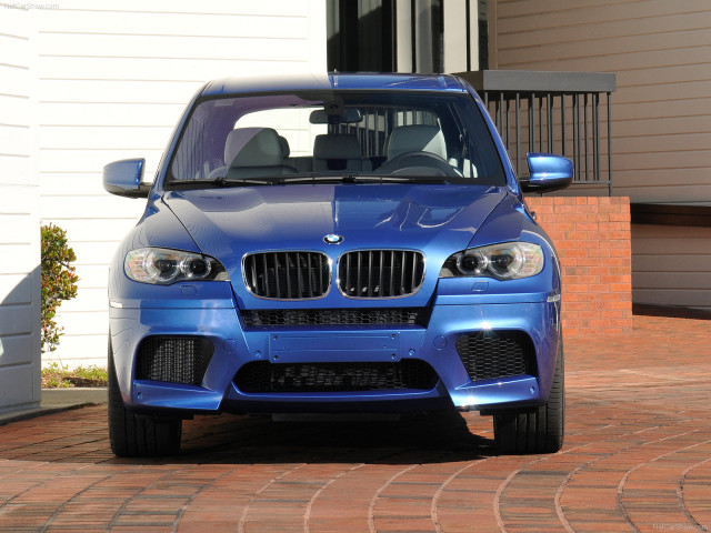 bmw x5 m pic #63229