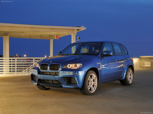 bmw x5 m pic #63250