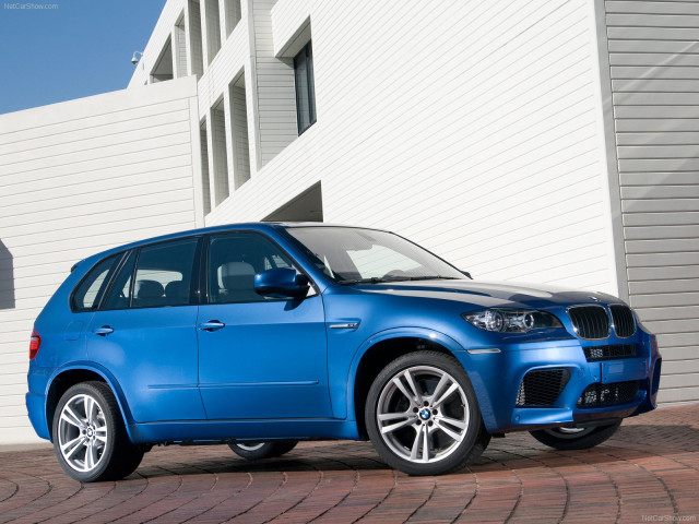 bmw x5 m pic #63251