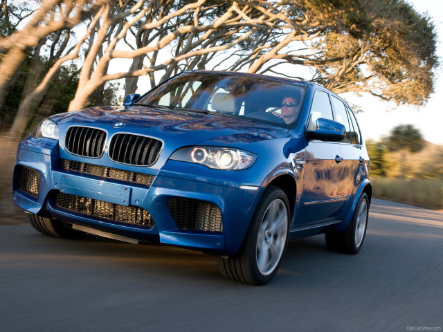 bmw x5 m pic #63252