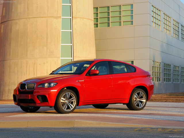 bmw x6 m pic #63277