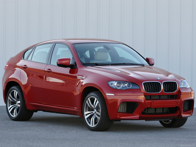 bmw x6 m pic #63278