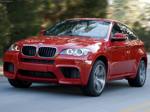 bmw x6 m pic #63279