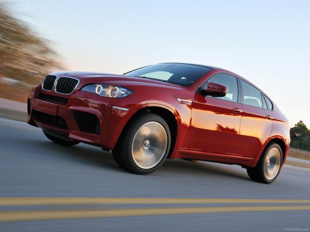 bmw x6 m pic #63280