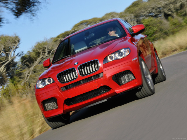 bmw x6 m pic #63281