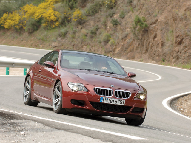 bmw m6 e63 pic #63834