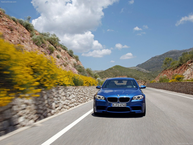 bmw m5 f10 pic #81427