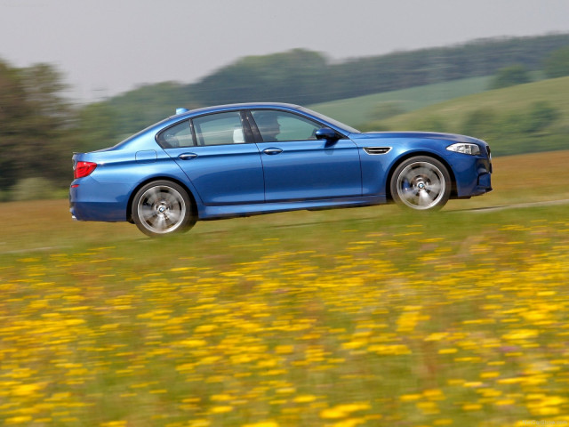 bmw m5 f10 pic #81448