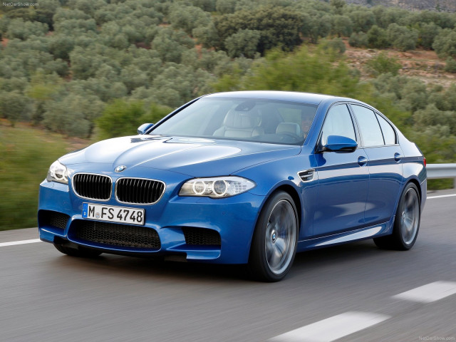 bmw m5 f10 pic #81455