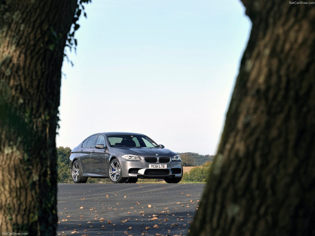 bmw m5 pic #86773