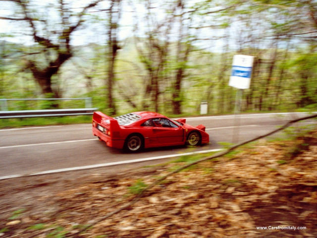 ferrari f40 pic #12115