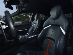 Purosangue photo #208139