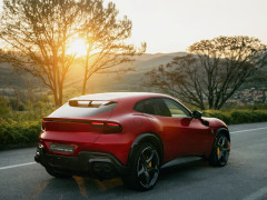 Purosangue photo #208141