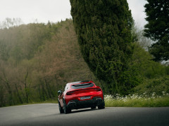 Purosangue photo #208143