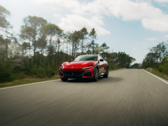 Purosangue photo #208145