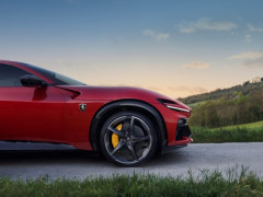 Purosangue photo #208146