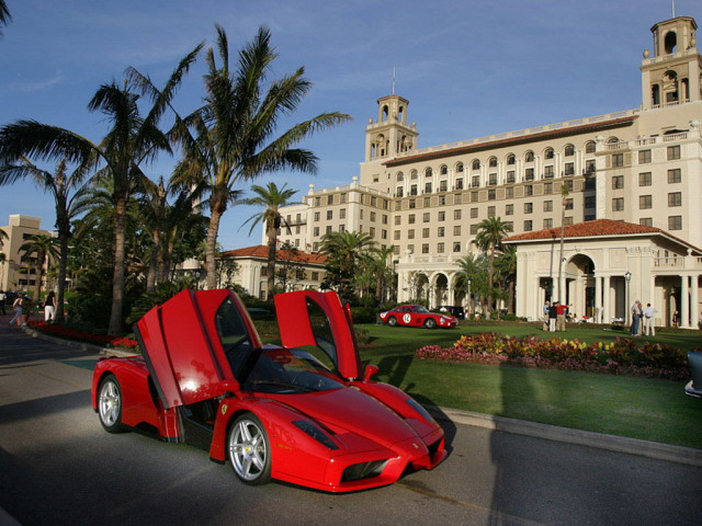 ferrari enzo pic #33289