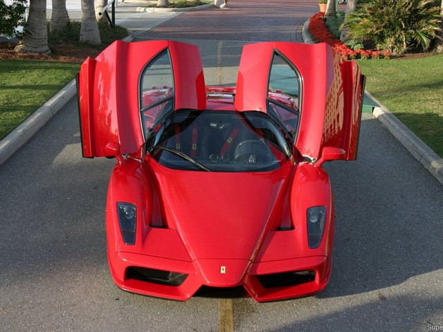 ferrari enzo pic #33290