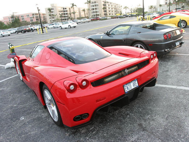 ferrari enzo pic #33291