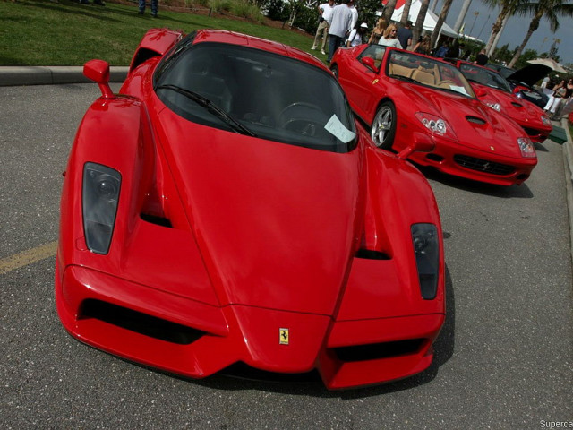 ferrari enzo pic #33293