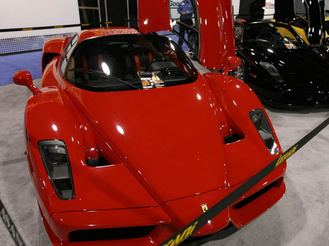 ferrari enzo pic #33297