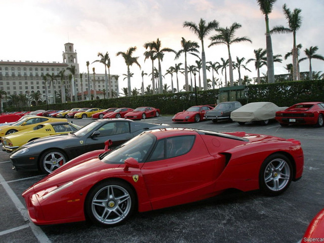 ferrari enzo pic #33298