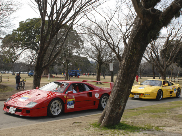 ferrari f40 pic #73981