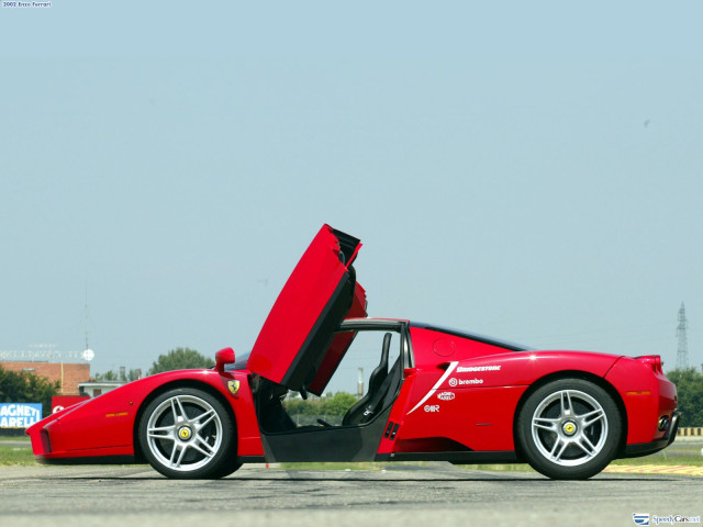 ferrari enzo pic #9777