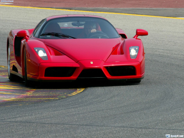 ferrari enzo pic #9778