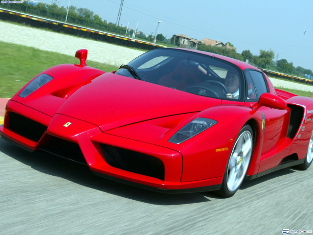 ferrari enzo pic #9781